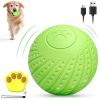 Remote-Control Interactive Dog Ball, Silent Motion-Activated
