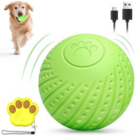 Remote-Control Interactive Dog Ball, Silent Motion-Activated