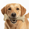 SodaPup Tough Nylon Chew Bone for Aggressive Chewers, Ultra