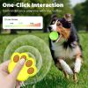 Remote-Control Interactive Dog Ball, Silent Motion-Activated