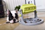 Pet Life 'Roto Paw' IQ Training Interactive Rotating Slow Dog Feeder