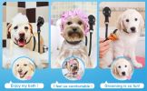 Dog Grooming Table Restraint Loop, Adjustable Bath & Haircut