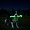 Durable Nylon Glow in the Dark Chew Stick for Power Chewers | Indestructible Dog Toy USA