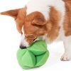 Snuffle Broccoli Dog Puzzle Toys Increase IQ Slow Dispensing Feeder Pet Cat Training Games Feeding Feeding Food Intelligence Toy