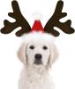 Adjustable Reindeer Antlers Headband for Dogs - Christmas Plus
