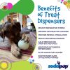 Glow-in-the-Dark Nylon Chew Ball for Power Chewers, Durable