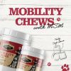 Dr. Pol Mobility Chews with MSM - Glucosamine for Dogs 100 Count
