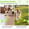 Remote-Control Interactive Dog Ball, Silent Motion-Activated