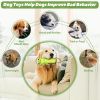 Crinkle Plush Squeaker Dog Toy with Rope, Interactive Toy