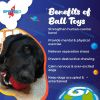 Asteroid Red Rubber Fetch & Chew Toy for Heavy Chewers