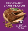 Purina Dog Chow High Protein Real Lamb Flavor Dry Dog Food 44 lb Bag