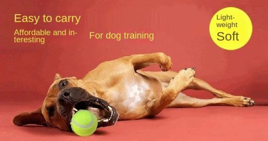 Small Rubber Dog Tennis Balls 3-Pack for Fetch & Training