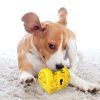 ALL4U Treasure Chest Squeaky Dog Toothbrush Chew Toy