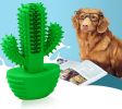 ALL4U Cactus Dog Dental Chew Toy - Rubber Toothbrush
