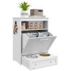 Elevated 2-Bowl Dog Feeding Station with Storage, White