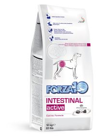 Forza10 Active Intestinal Dry Dog Food 22 lb