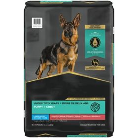Large Breed Puppy Dry Food - Salmon & Rice, 16 lb