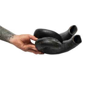Water Buffalo Horn Dog Chews - 2 Count, Grain-Free