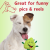 Bud the Weed Nug Squeaky Plush 420 Dog Toy
