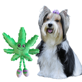 Cannabis Leaf Plush Dog Chew Toy with Squeaker, Green