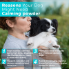 Welsdom Calming Powder for Dogs - Herbal Stress Support