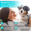 Welsdom Joint & Muscle Liquid Supplement for Pets