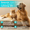 Welsdom Calming Oil for Dogs & Cats - Natural Relaxation