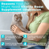 Welsdom Vitality Boost Liquid Supplement for Pets