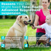 Welsdom Total Health Liquid Supplement for Pets