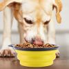 Collapsible TPR Pet Travel Bowls - BPA-Free 4-Pack