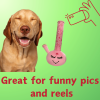Harmony Bong Squeaky Plush 420 Toy for Small Dogs