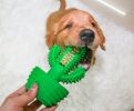 ALL4U Cactus Dog Dental Chew Toy - Rubber Toothbrush