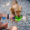 Collapsible TPR Pet Travel Bowls - BPA-Free 4-Pack