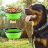 Collapsible TPR Pet Travel Bowls - BPA-Free 4-Pack