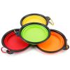 Collapsible TPR Pet Travel Bowls - BPA-Free 4-Pack