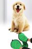 BeNat Dog Bath Towel with Hand Pockets, Fast-Drying
