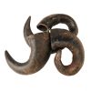 Water Buffalo Horn Dog Chews - 2 Count, Grain-Free