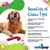 SodaPup Candy Cane Nylon Dog Chew Toy - USA Made
