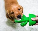 ALL4U Cactus Dog Dental Chew Toy - Rubber Toothbrush