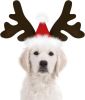 Reindeer Antlers Dog Headband with Santa Hat, Adjustable