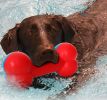 Pet Life Bone Shaped Chew & Fetch Teether Dog Toy