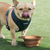 Silicone Collapsible Dog Travel Bowl - Portable Dish