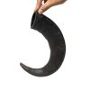 Water Buffalo Horn Dog Chews - 2 Count, Grain-Free