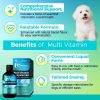 Welsdom Multivitamin Liquid Supplement for Dogs