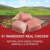 High Protein Chicken & Rice Dry Dog Food - 40 lb Bag