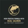 Large Breed Puppy Dry Food - Salmon & Rice, 16 lb