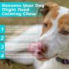Welsdom Natural Calming Chews for Dogs - Anxiety Support