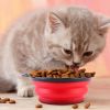 Collapsible TPR Pet Travel Bowls - BPA-Free 4-Pack