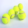 Small Rubber Dog Tennis Balls 3-Pack for Fetch & Training
