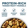 Large Breed Adult Dry Dog Food - Chicken, 40 lb Bag